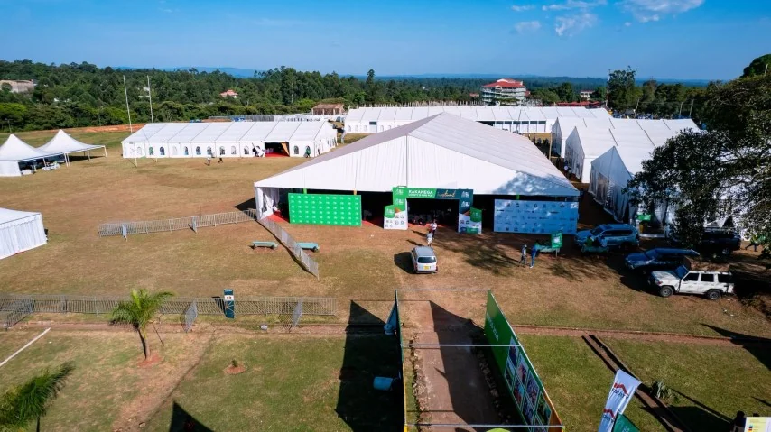 Aerial Event View